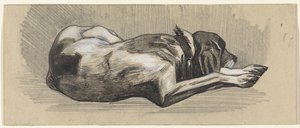 Sleeping Dog, Facing Right by Jan van Essen