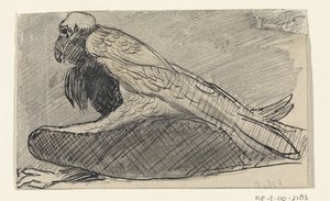 Sitting Vulture by Jan van Essen