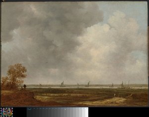 Panoramic View of a River with Low-lying Meadows