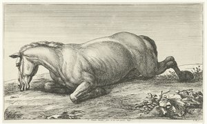 Fallen Horse Lying on Its Belly (Fallen Horses series)