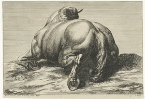 Fallen Horse Seen from Behind (Fallen Horses) by Jan van Huchtenburg