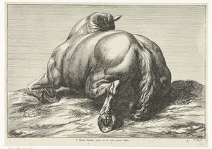 Dead Horse Seen from Behind by Jan van Huchtenburg