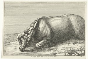 Fallen Horse Seen from the Left Side (Fallen Horses) by Jan van Huchtenburg