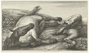 Two Fallen Horses, the Left One Seen from the Front (Fallen Horses series)