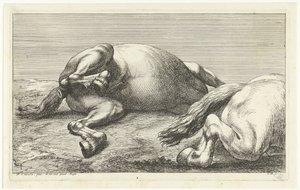 Two Fallen Horses, the Right One Seen from the Side by Jan van Huchtenburg