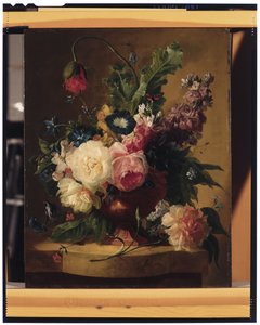 Flower Still-life