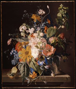 Poppies, Hollyhock, Morning Glory, Viola, Daisies, Sweet Pea, Marigolds and Other Flowers in a Vase with a Snail on a Ledge by Jan van Huysum