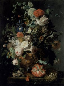 Unknown Image