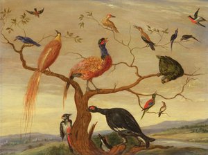 A Concert of Birds by Jan van Kessel the Elder