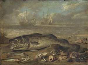 Fish and Marine Landscape by Jan van Kessel the Elder