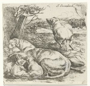 Female Dog with Puppies by Jan van Ossenbeeck