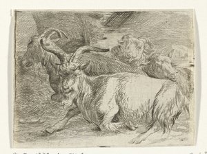 Two Goats and Two Sheep by Jan van Ossenbeeck