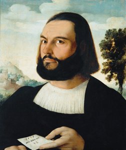 Portrait of a Man by Jan van Scorel