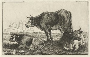 Three Cows by Jan van den Hecke