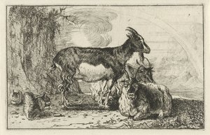 Goats (Animals) by Jan van den Hecke