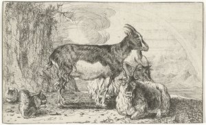 Goats (Animals) by Jan van den Hecke