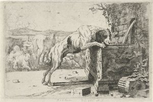 Dog by a Fountain by Jan van den Hecke