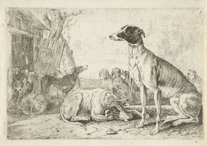 Dog Kennel by Jan van den Hecke