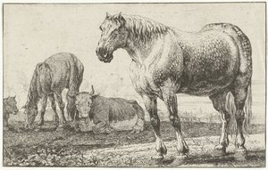 Horses and Cows (Animals) (Zoographiam) by Jan van den Hecke