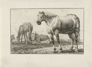 Horses and Cows by Jan van den Hecke