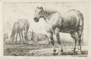 Horses and Cows (Animals) (Zoographiam) by Jan van den Hecke