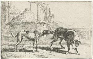 Male and Female Dog (series title: Animals)