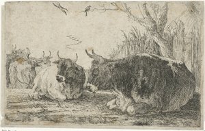 Resting Cows (Animals) (Zoographiam) by Jan van den Hecke