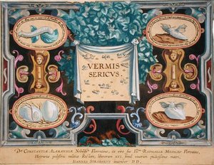 Frontispiece to 