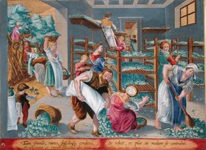Women Lining Shelves with Mulberry Leaves for the Silkworms, plate 5 from 