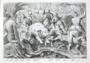 Elephants Make a Great Noise as They Are Struck by Hunters