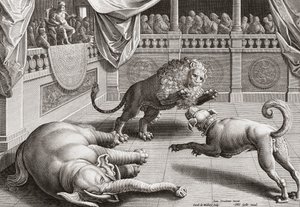Alexander the Great watching animals fight by Jan van der 1523 1605 after Straet