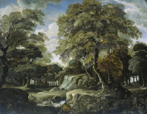 View in the Woods by Jan van der Heyden