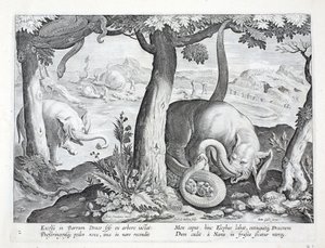 Snake Used in Elephant Hunting, Illustration from 