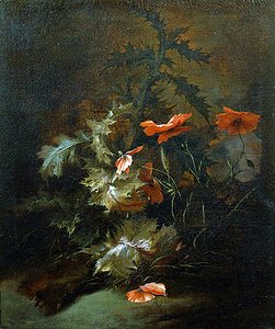 Thistles and Poppies by Jan van the Elder Kessel