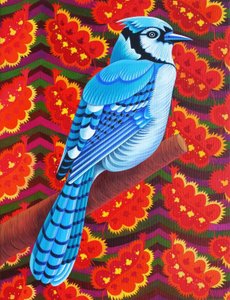Blue Jay, 2016