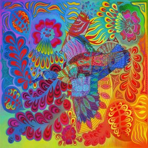 Flying Duck by Jane Tattersfield