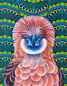 Philippine Eagle, 2020 by Jane Tattersfield