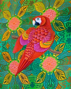 Red Parrot