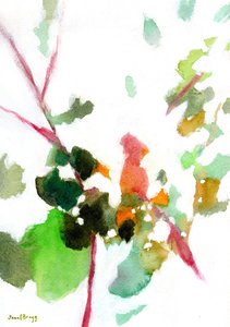  by Janel Bragg
