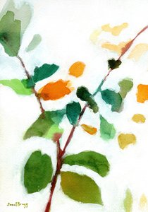  by Janel Bragg