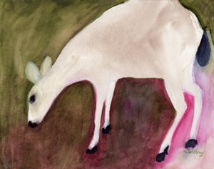 Deer from Anacortes, c.2018