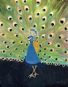 Peacock at Woodland Park Zoo by Janel Bragg