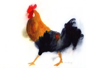 Rooster on Kauai at Lydgate Park, c. 2019