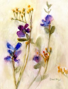  by Janel Bragg