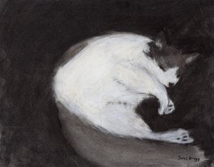 Thomas Taking a Nap by Janel Bragg