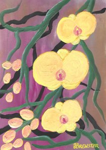 Vibrant Yellow Orchids by Janine Brewster