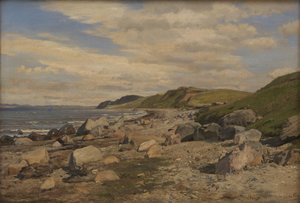 Beach Scene at Helgenæs