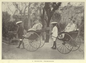 A Morning Promenade