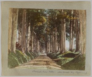 Imaichi Road, Nikko, Japan