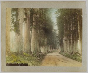 Imaichi Road, Nikko, Japan